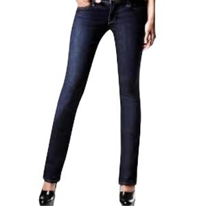 Gap 1869 Premium Real Straight Jeans